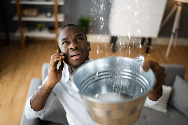 Best 24-hour water damage restoration  in Palos Verdes Estates, CA