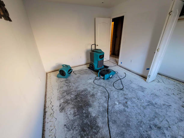 Best Water damage contractors near me  in Palos Verdes Estates, CA