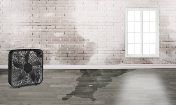 Best Residential water damage restoration  in Palos Verdes Estates, CA