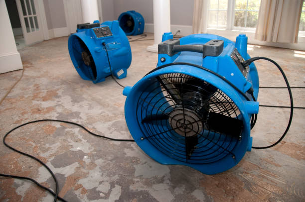 Best Fire Damage Restoration  in Palos Verdes Estates, CA