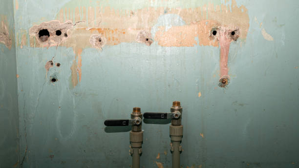Best Professional water damage repair  in Palos Verdes Estates, CA