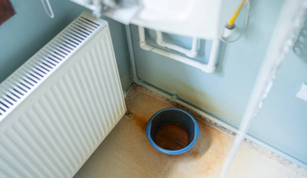 Best Basement water damage restoration  in Palos Verdes Estates, CA