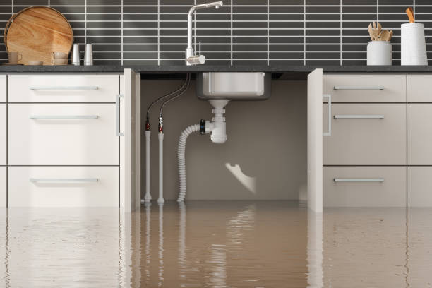 Water damage restoration mold remediation in Palos Verdes Estates, CA