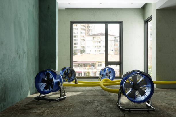 Best Flood damage cleanup  in Palos Verdes Estates, CA