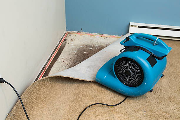 Best Carpet water damage restoration  in Palos Verdes Estates, CA